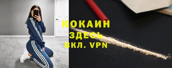 индика Абинск