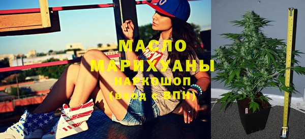 индика Абинск