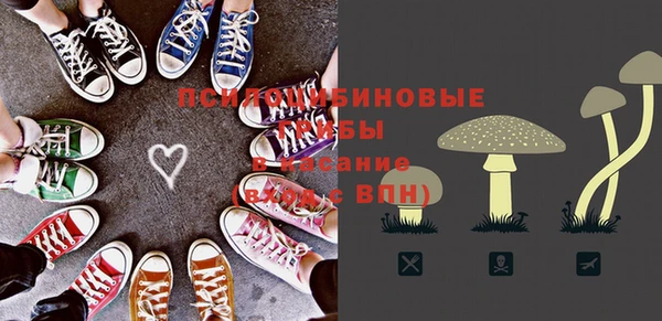 индика Абинск